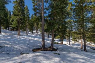 Listing Image 19 for 2640 Mill Site Road, Truckee, CA 96161