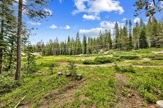 Listing Image 20 for 51943 Tamarack Crescent, Soda Springs, CA 95728