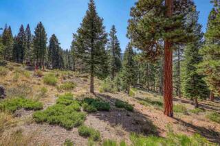 Listing Image 5 for 2785 Cross Cut Court, Truckee, CA 96161