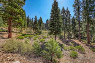 Listing Image 6 for 2785 Cross Cut Court, Truckee, CA 96161