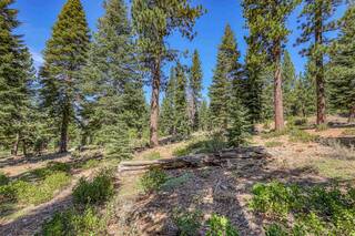 Listing Image 8 for 2785 Cross Cut Court, Truckee, CA 96161