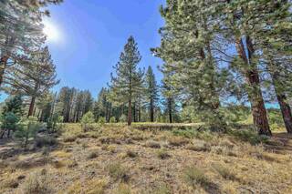 Listing Image 22 for 10931 Ghirard Court, Truckee, CA 96161