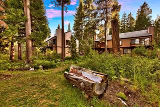 Listing Image 20 for 7110 State Highway 89, Tahoma, CA 96142