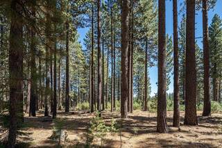 Listing Image 15 for 10624 & 10625 Rue Ivy, Truckee, CA 96161