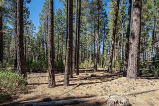 Listing Image 16 for 10624 & 10625 Rue Ivy, Truckee, CA 96161