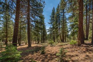 Listing Image 13 for 11417 China Camp Road, Truckee, CA 96161