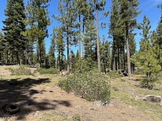 Listing Image 6 for 12364 Garwood Dean, Truckee, CA 96161