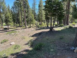 Listing Image 5 for 8641 Lloyd Tevis, Truckee, CA 96161