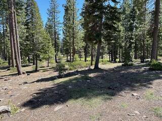 Listing Image 7 for 8641 Lloyd Tevis, Truckee, CA 96161