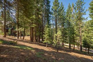 Listing Image 11 for 12241 Northwoods Boulevard, Truckee, CA 96161