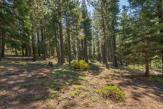 Listing Image 2 for 12241 Northwoods Boulevard, Truckee, CA 96161