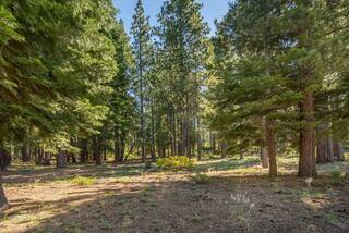 Listing Image 3 for 12241 Northwoods Boulevard, Truckee, CA 96161