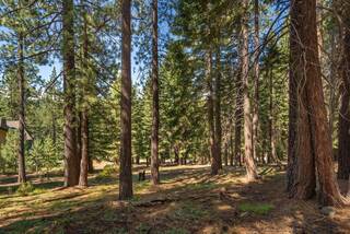 Listing Image 4 for 12241 Northwoods Boulevard, Truckee, CA 96161