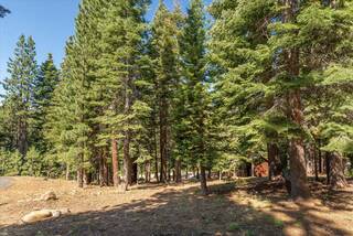 Listing Image 5 for 12241 Northwoods Boulevard, Truckee, CA 96161