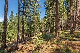 Listing Image 6 for 12241 Northwoods Boulevard, Truckee, CA 96161