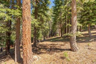 Listing Image 7 for 12241 Northwoods Boulevard, Truckee, CA 96161