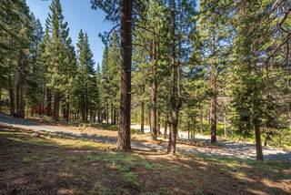 Listing Image 8 for 12241 Northwoods Boulevard, Truckee, CA 96161