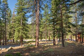 Listing Image 9 for 12241 Northwoods Boulevard, Truckee, CA 96161