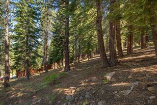 Listing Image 10 for 12241 Northwoods Boulevard, Truckee, CA 96161