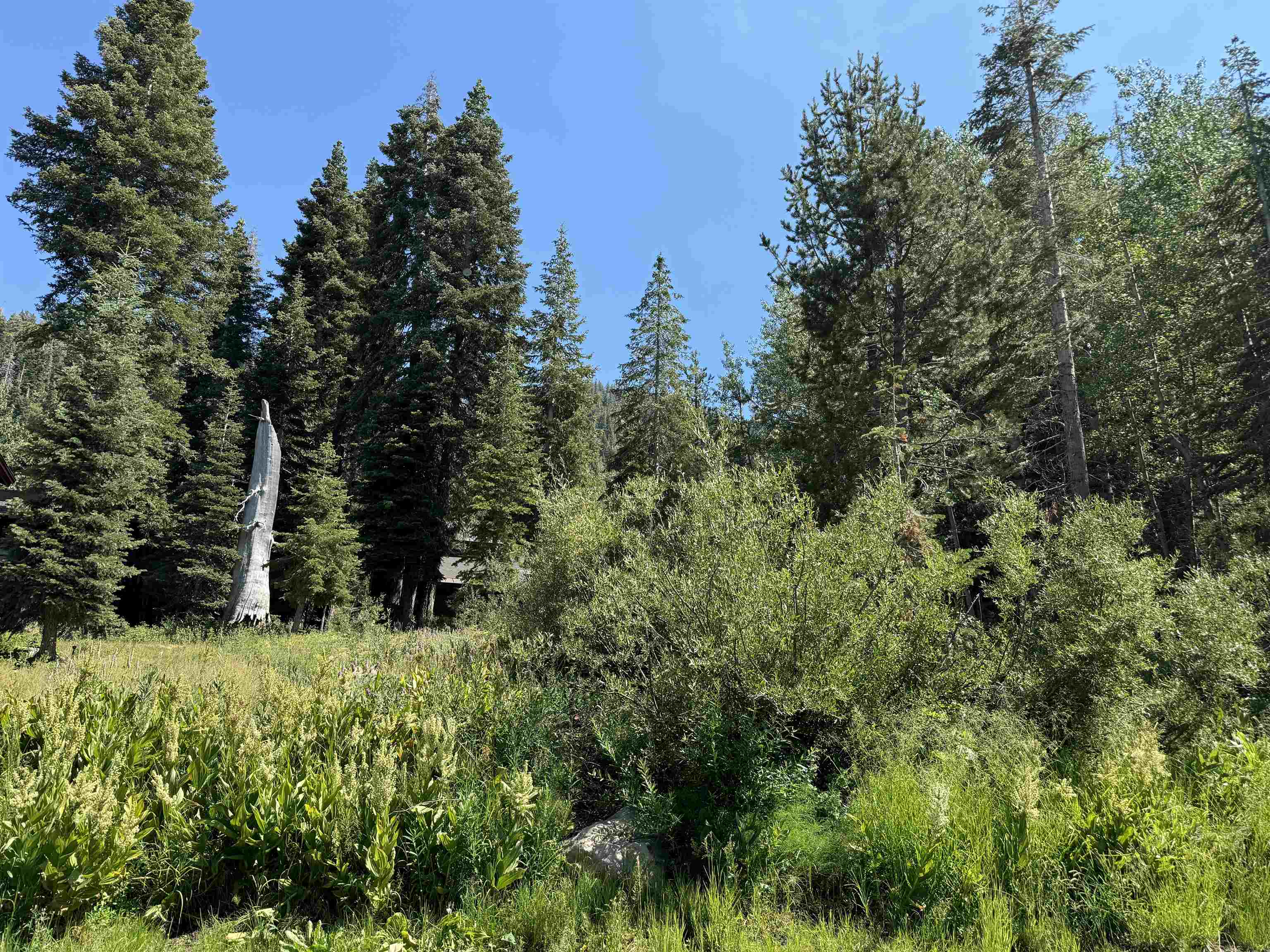 Image for 1355 Mineral Springs Trail, Alpine Meadows, CA 96146