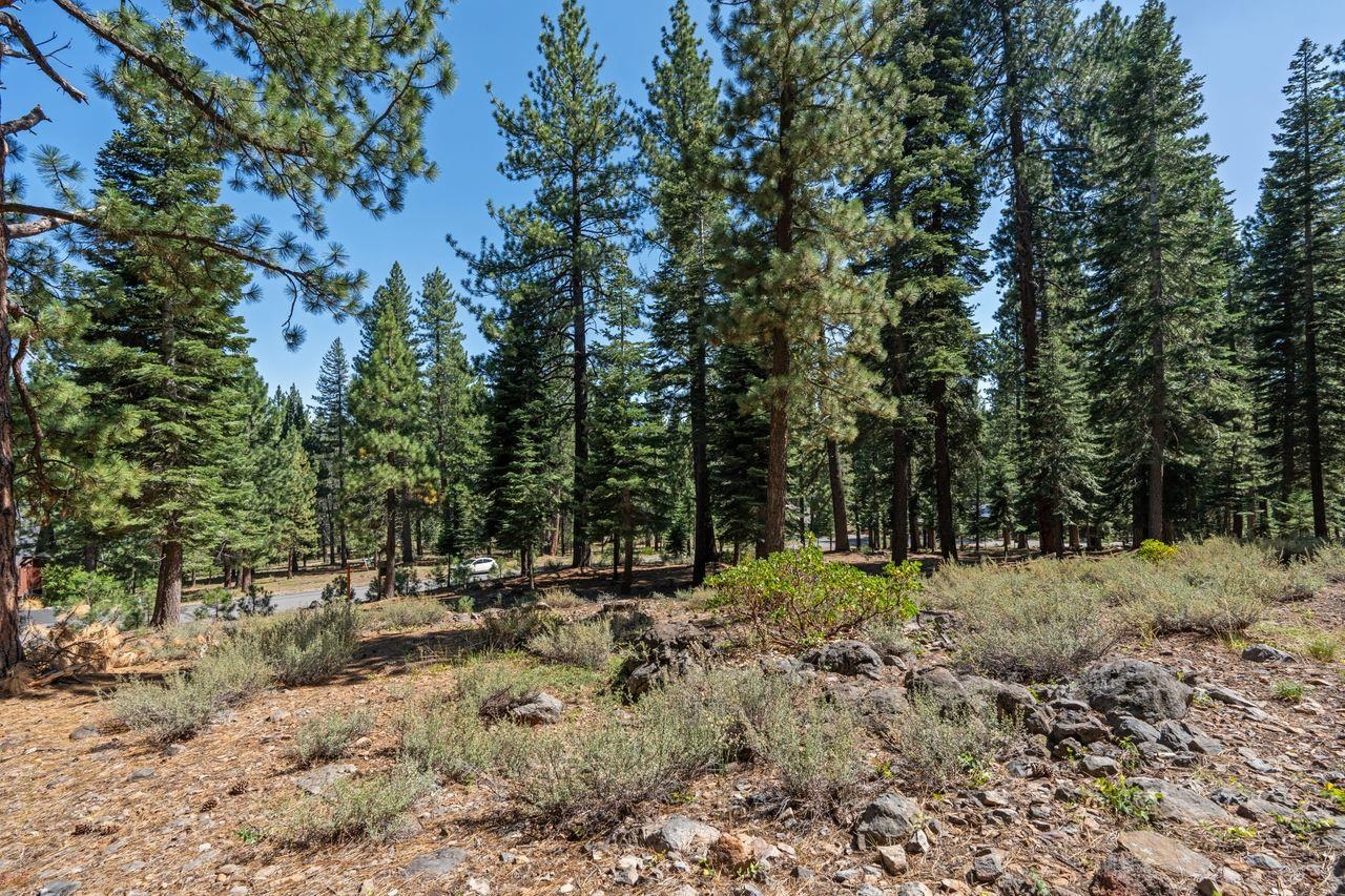 Image for 12062 Saddleback Drive, Truckee, CA 96161-2885