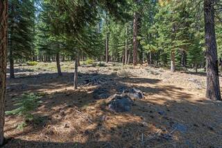 Listing Image 14 for 12062 Saddleback Drive, Truckee, CA 96161-2885