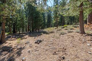 Listing Image 15 for 12062 Saddleback Drive, Truckee, CA 96161-2885