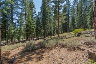 Listing Image 16 for 12062 Saddleback Drive, Truckee, CA 96161-2885