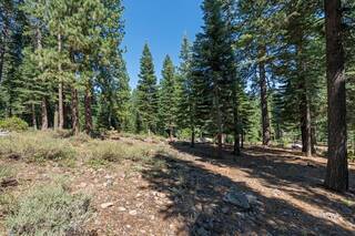 Listing Image 17 for 12062 Saddleback Drive, Truckee, CA 96161-2885