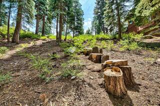 Listing Image 11 for 12005 Skislope Way, Truckee, CA 96161-0000