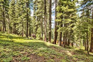 Listing Image 13 for 12005 Skislope Way, Truckee, CA 96161-0000