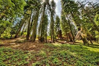 Listing Image 14 for 12005 Skislope Way, Truckee, CA 96161-0000