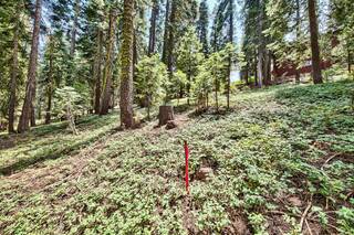 Listing Image 16 for 12005 Skislope Way, Truckee, CA 96161-0000