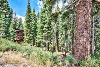 Listing Image 6 for 12005 Skislope Way, Truckee, CA 96161-0000