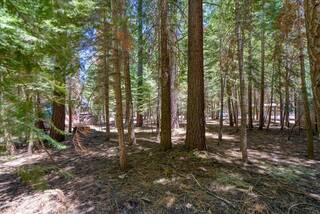 Listing Image 7 for 7234 3rd Avenue, Tahoma, CA 96142