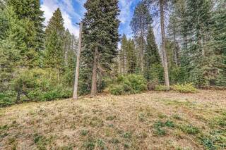 Listing Image 5 for 10037 E Alder Creek Road, Truckee, CA 96161