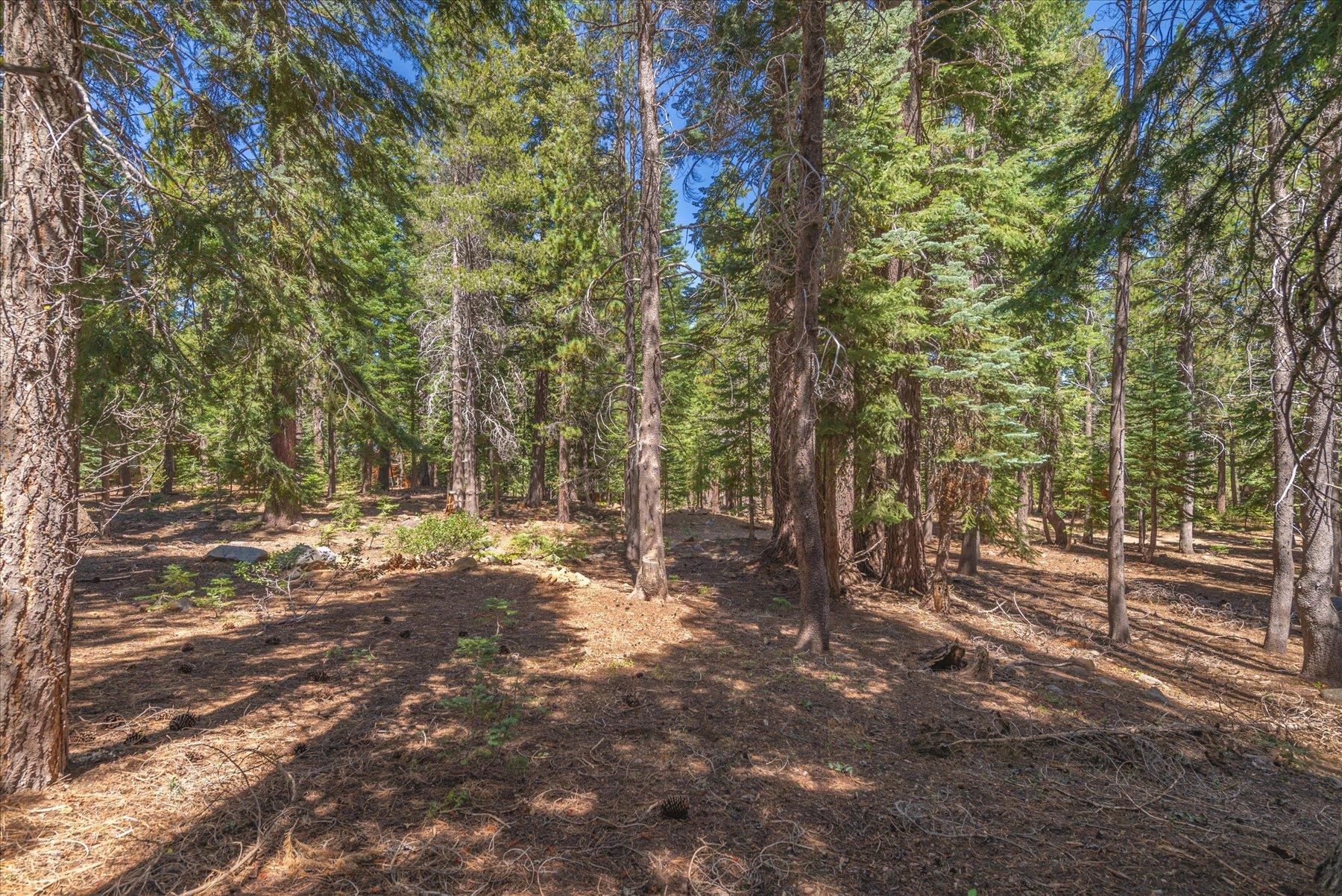 Image for 14590 Copenhagen Drive, Truckee, CA 96161