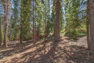 Listing Image 6 for 14590 Copenhagen Drive, Truckee, CA 96161