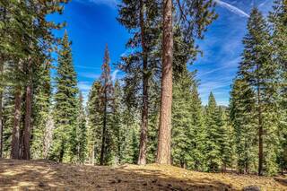 Listing Image 17 for 6138 Feather Ridge, Truckee, CA 96161