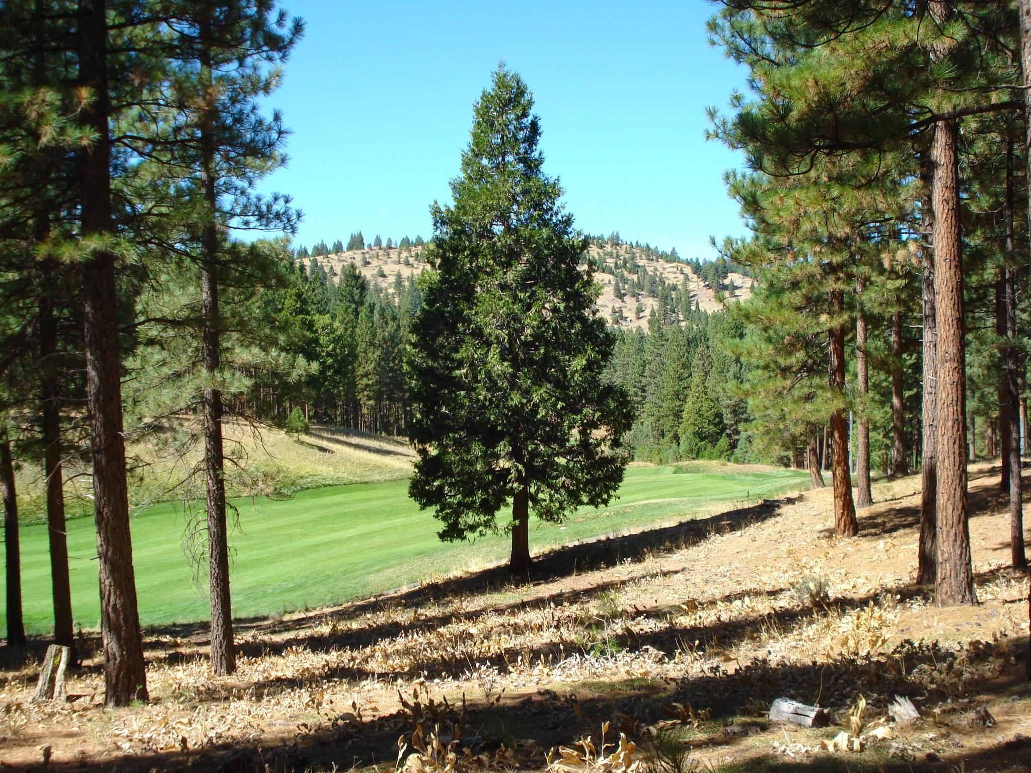 Image for 139 Bird Of Prey Lane, Portola, CA 96122