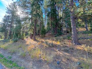 Listing Image 12 for 15675 Donnington Lane, Truckee, CA 96161