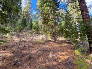 Listing Image 5 for 15675 Donnington Lane, Truckee, CA 96161