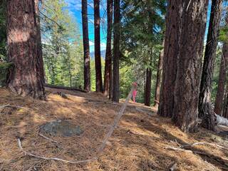 Listing Image 7 for 15675 Donnington Lane, Truckee, CA 96161