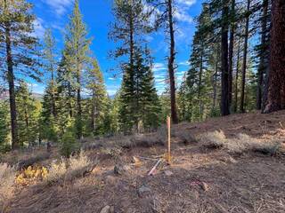 Listing Image 9 for 15675 Donnington Lane, Truckee, CA 96161