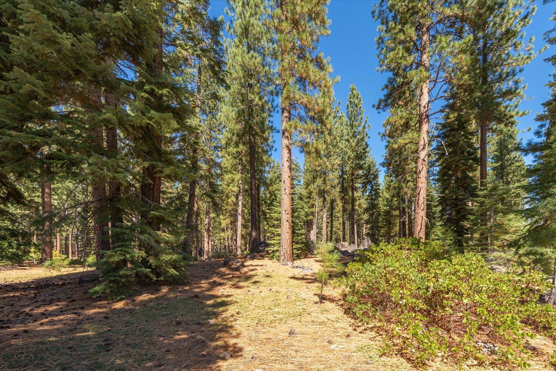 Image for 9252 Heartwood Drive, Truckee, CA 96161