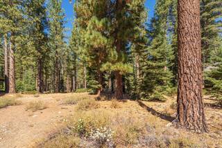 Listing Image 11 for 9252 Heartwood Drive, Truckee, CA 96161