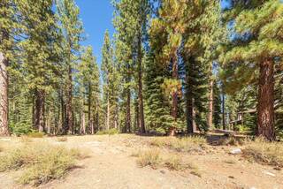 Listing Image 12 for 9252 Heartwood Drive, Truckee, CA 96161