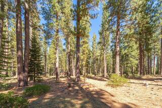 Listing Image 13 for 9252 Heartwood Drive, Truckee, CA 96161