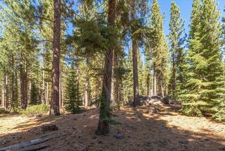 Listing Image 15 for 9252 Heartwood Drive, Truckee, CA 96161