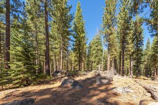 Listing Image 16 for 9252 Heartwood Drive, Truckee, CA 96161